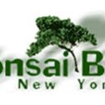 Bonsai Boy of New York