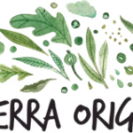 Terra Origin